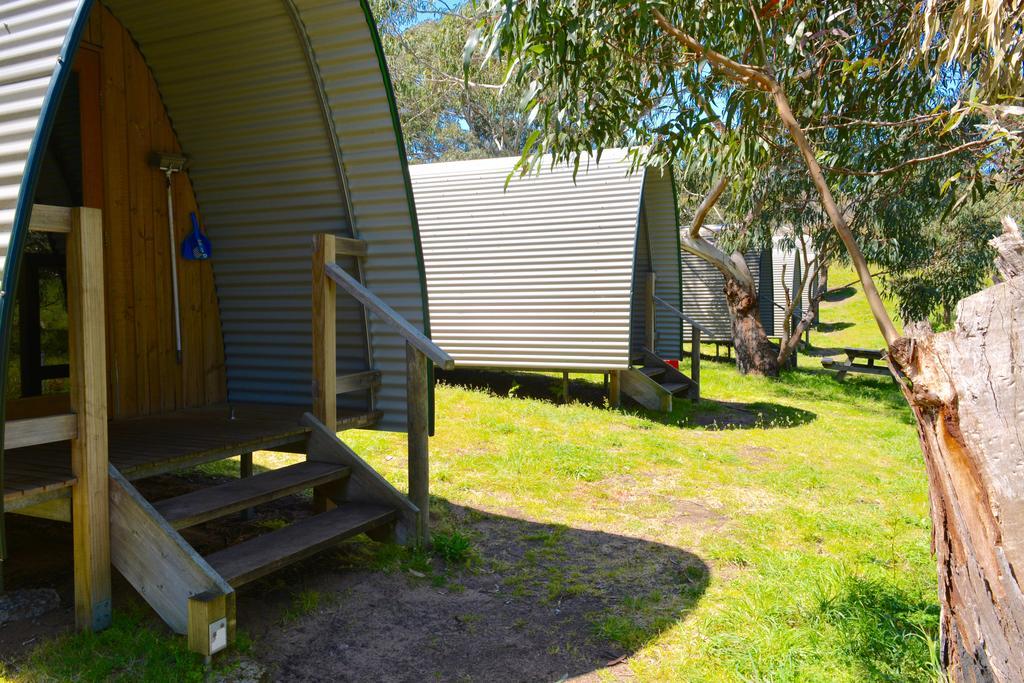 كاب أوتواي Bimbi Park - Camping Under Koalas المظهر الخارجي الصورة