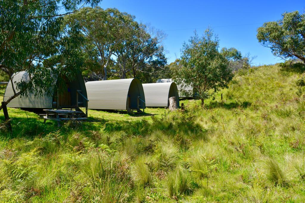 كاب أوتواي Bimbi Park - Camping Under Koalas المظهر الخارجي الصورة